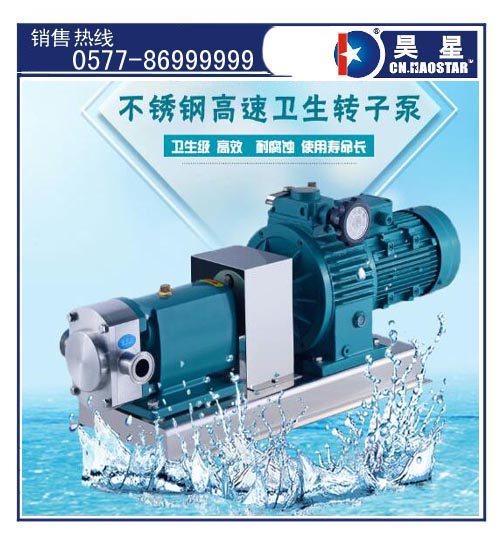 ZB3A轉(zhuǎn)子泵.jpg ZB3A轉(zhuǎn)子泵.jpg