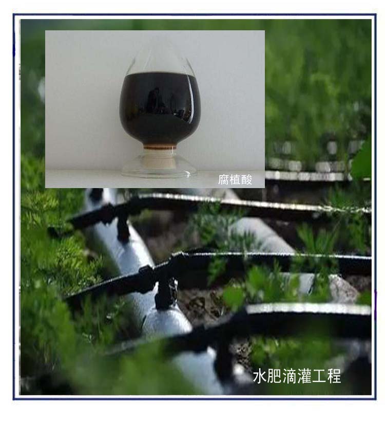 無標(biāo)題 5.jpg 無標(biāo)題 5.jpg